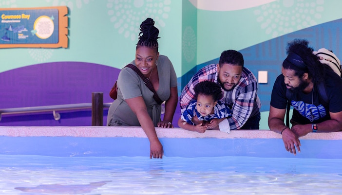 Visitors exploring marine life at Explorer's Cove, Georgia Aquarium.