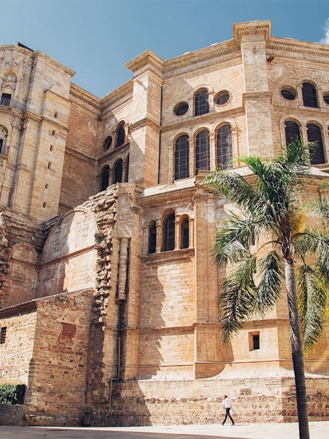 Málaga Cathedral exterior with palm trees on a sunny day.