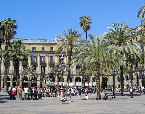Placa Reial in Barcelona's Gothic Quarter with palm trees and people gathering.