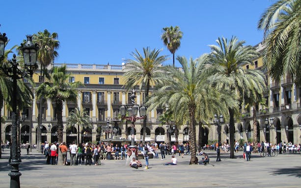 Placa Reial in Barcelona's Gothic Quarter with palm trees and people gathering.