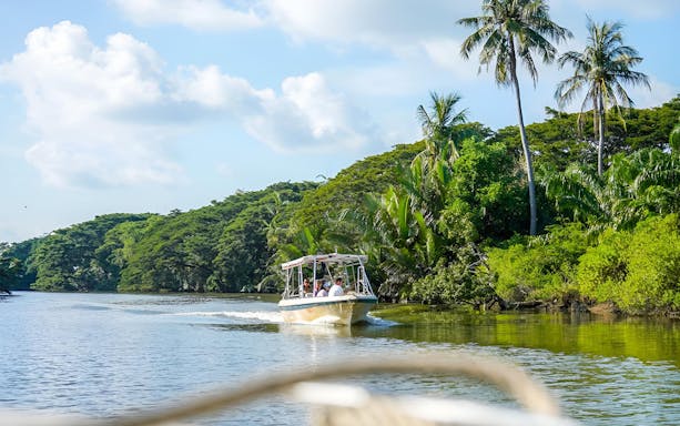 Boat cruising along lush riverbank on Kawa Kawa Fireflies & Sunset Cruise Night Tour.