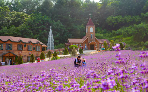 Family exploring lavender field near wooden church in Pocheon, South Korea.
