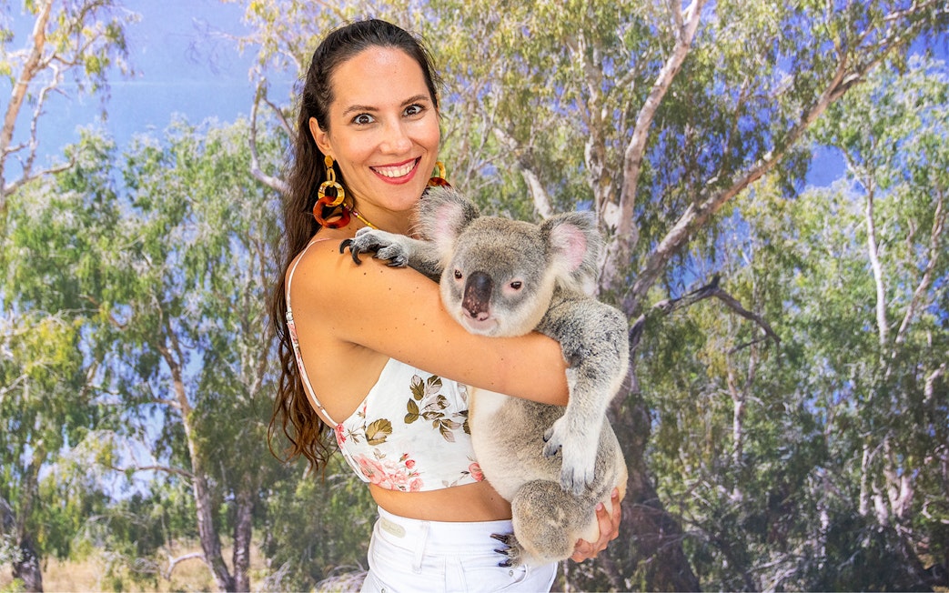 Person holding a koala at Hartley's Crocodile Adventures, surrounded by trees.
