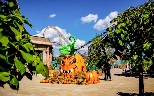 Halloween-themed pumpkin display at Energylandia with roller coaster in background.
