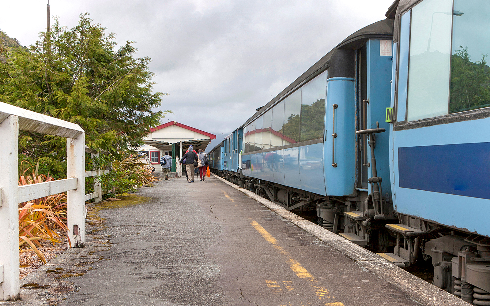 Fox Glacier by Train