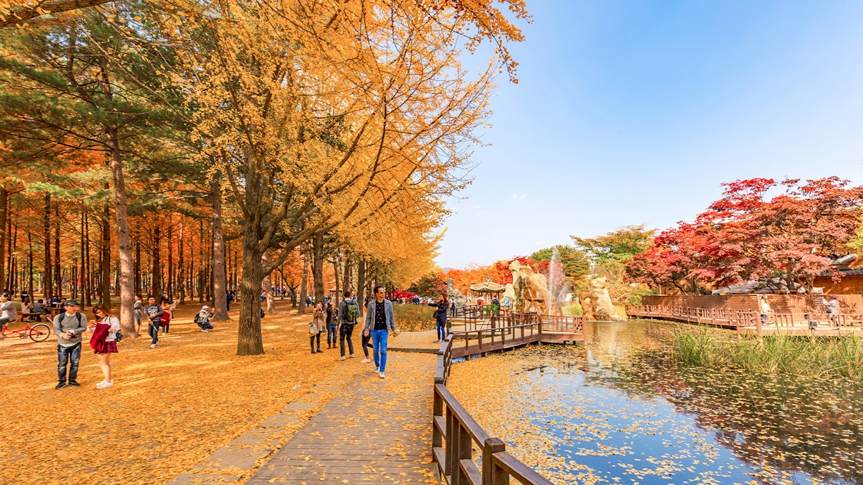 Visit to Nami Island