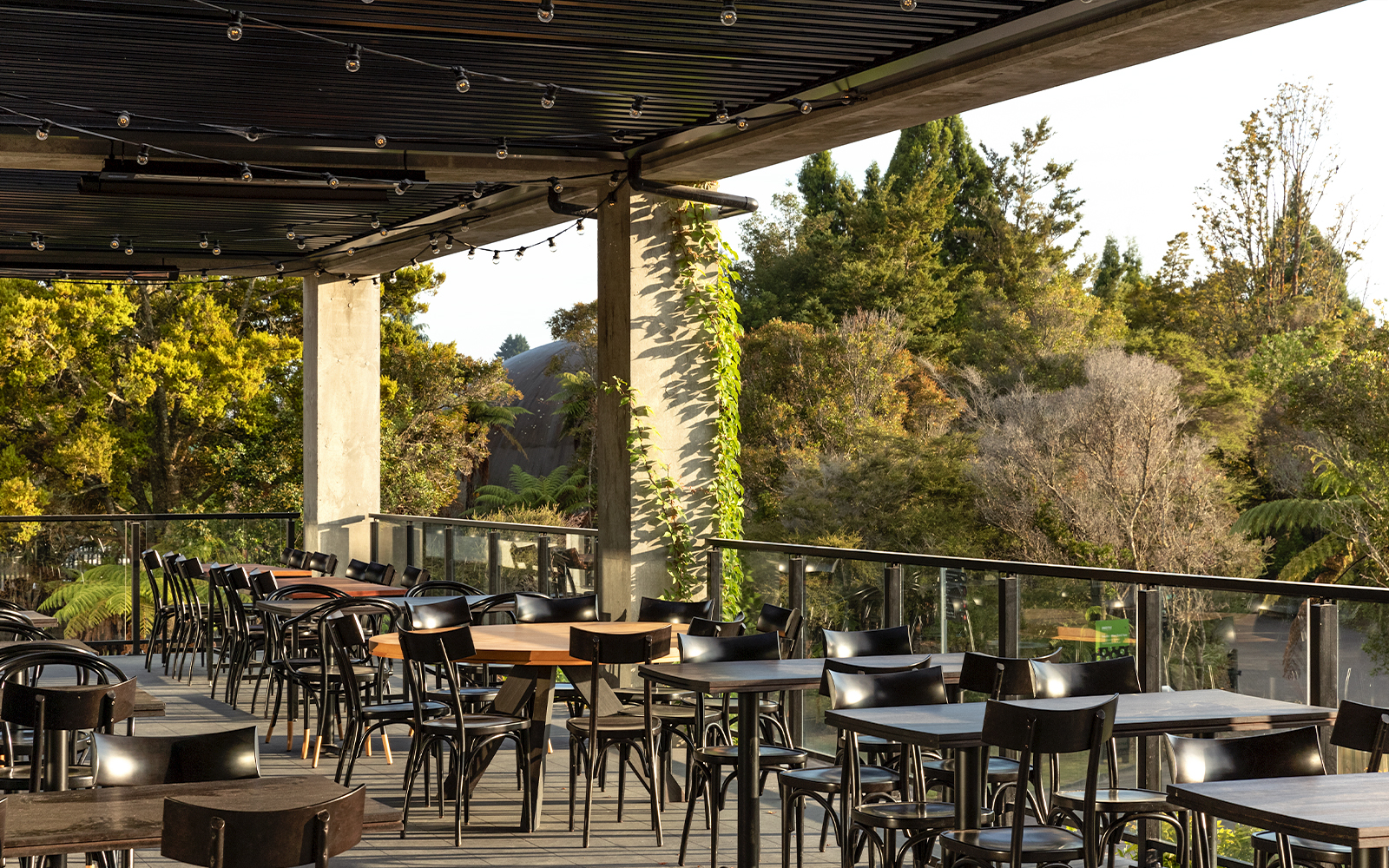 Outdoor dining area at Te Puia with forest view, part of the Te Rā Guided Experience.