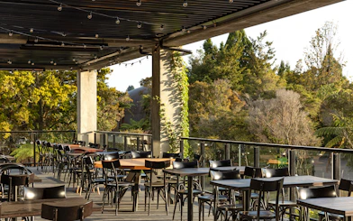 Outdoor dining area at Te Puia with forest view, part of the Te Rā Guided Experience.