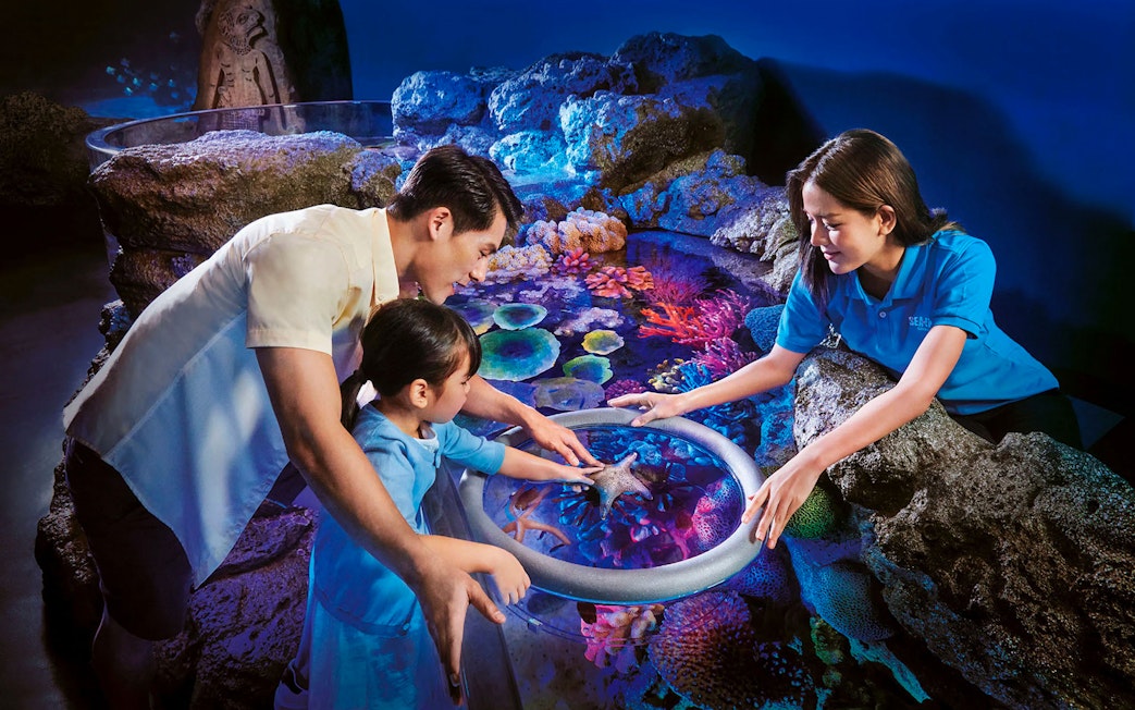 Visitors interacting with starfish at Rockpools, Sea Life Bangkok.