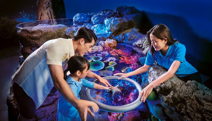 Visitors interacting with starfish at Rockpools, Sea Life Bangkok.