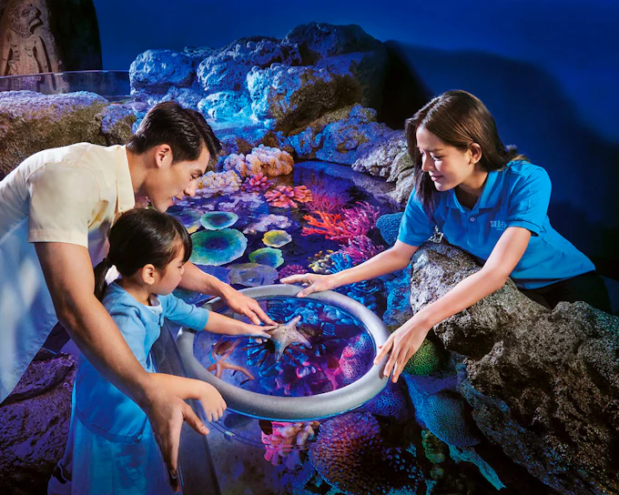 SEA Life Bangkok and Glass Bottom Boat