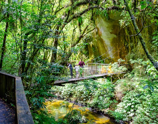 Visitors crossing a suspension bridge in lush forest near natural bridge, Waitomo.