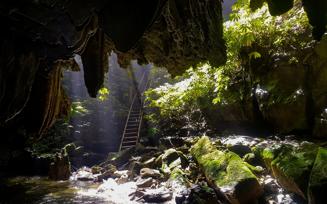 Waitomo Glowworm Caves entrance with sunlight filtering through, surrounded by lush greenery.