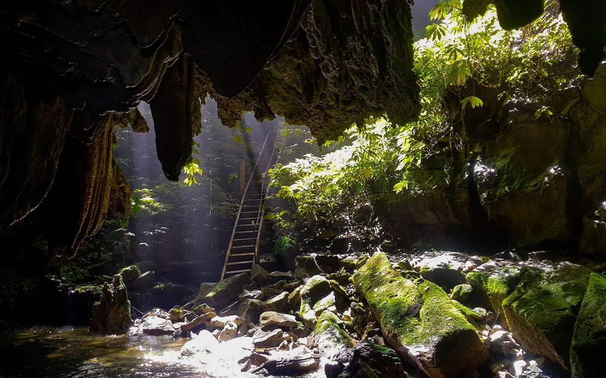 Waitomo Glowworm Caves entrance with sunlight filtering through, surrounded by lush greenery.
