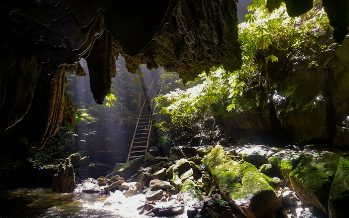 Waitomo Glowworm Caves entrance with sunlight filtering through, surrounded by lush greenery.