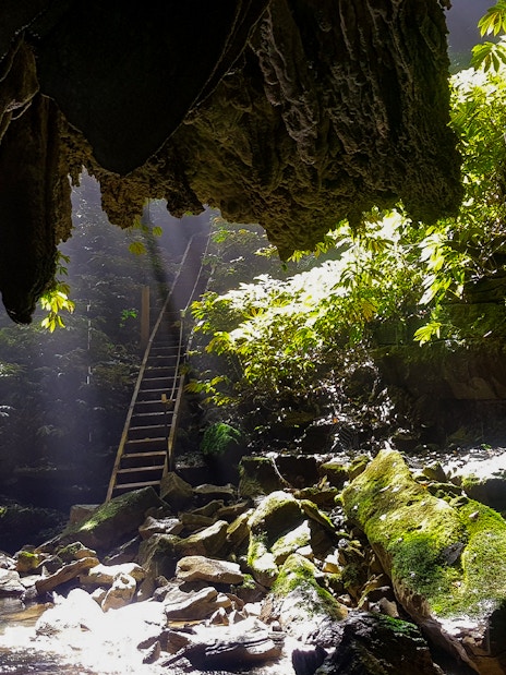 Waitomo Glowworm Caves entrance with sunlight filtering through, surrounded by lush greenery.