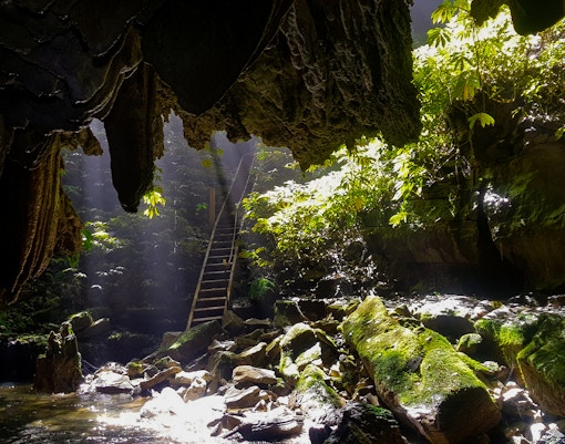 Waitomo Glowworm Caves entrance with sunlight filtering through, surrounded by lush greenery.