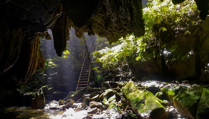 Waitomo Glowworm Caves entrance with sunlight filtering through, surrounded by lush greenery.