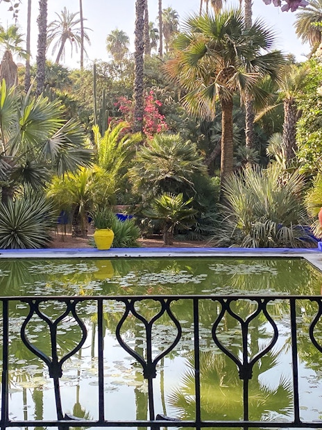 Jardin Majorelle pond with vibrant yellow pots and lush greenery in Marrakech.