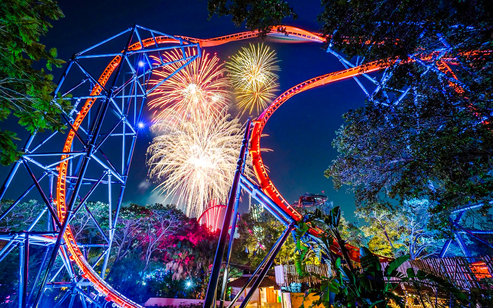 Roller coaster with fireworks at Busch Gardens, Tampa Bay.
