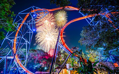 Roller coaster with fireworks at Busch Gardens, Tampa Bay.