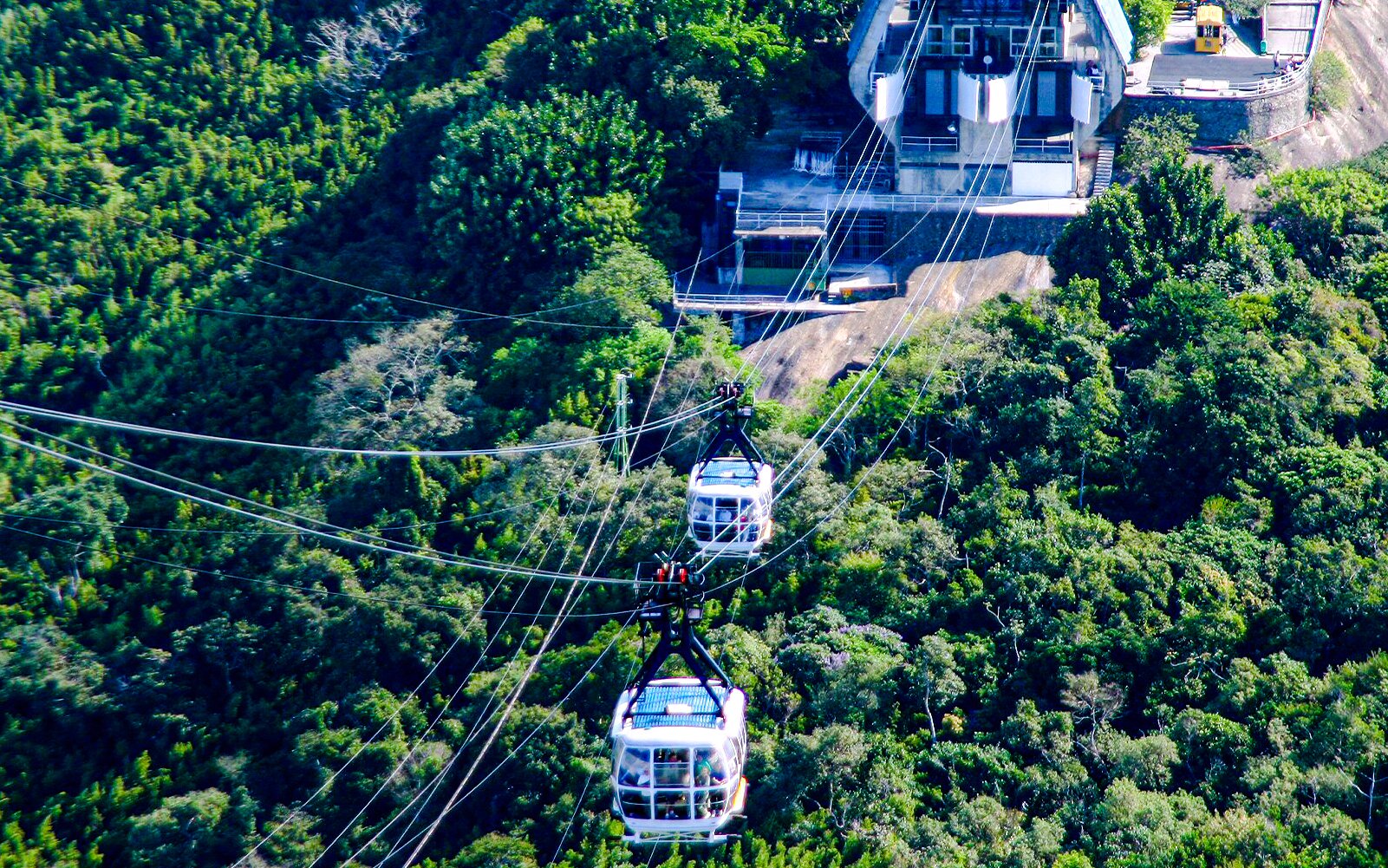 Sugarloaf cable car traveling over lush forest in Rio de Janeiro, Brazil.