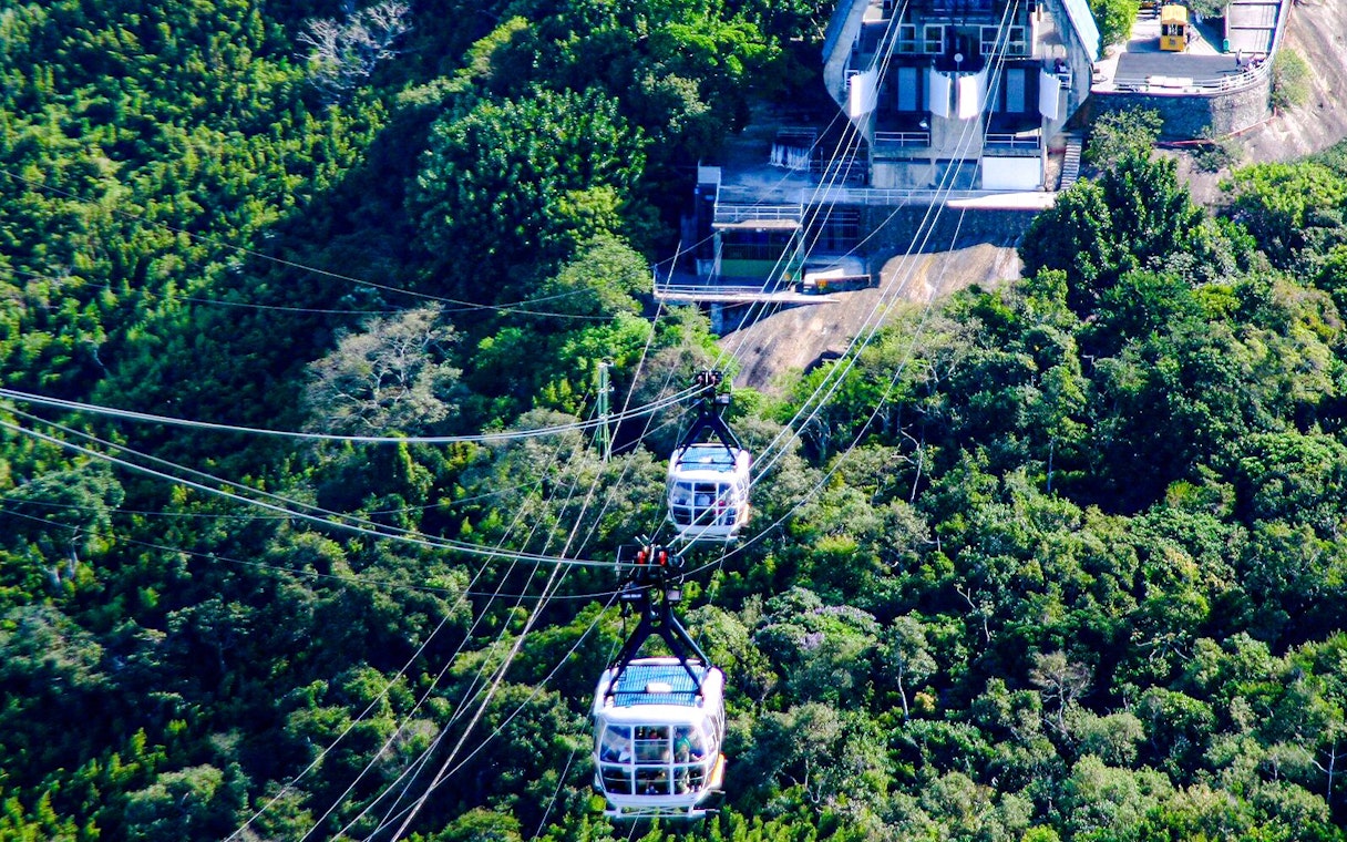 Sugarloaf cable car traveling over lush forest in Rio de Janeiro, Brazil.