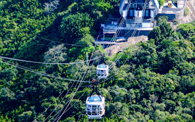 Sugarloaf cable car traveling over lush forest in Rio de Janeiro, Brazil.