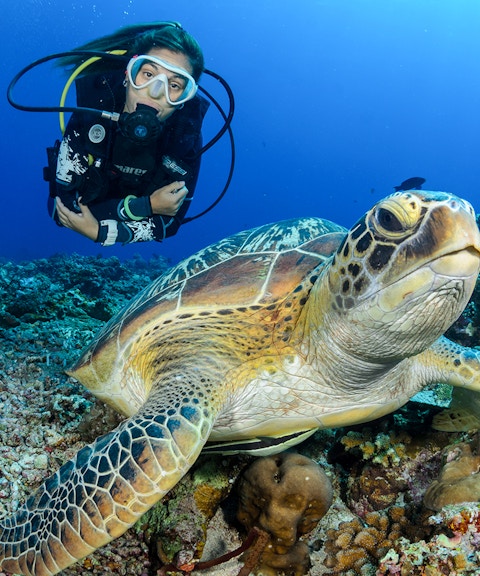 Scuba diver swimming with sea turtle in Tanjung Benoa, Bali.
