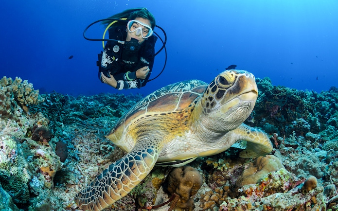 Scuba diver swimming with sea turtle in Tanjung Benoa, Bali.