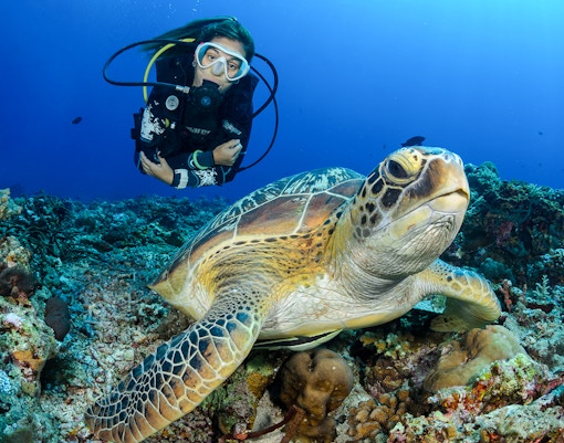 Scuba diver swimming with sea turtle in Tanjung Benoa, Bali.