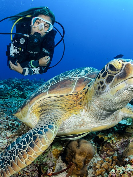 Scuba diver swimming with sea turtle in Tanjung Benoa, Bali.
