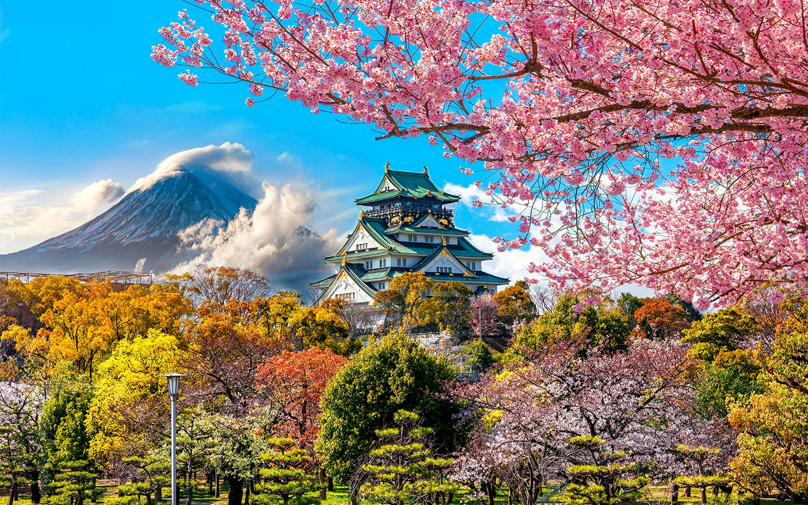 Japan Rail Pass train traveling through scenic countryside with Mount Fuji in the background.