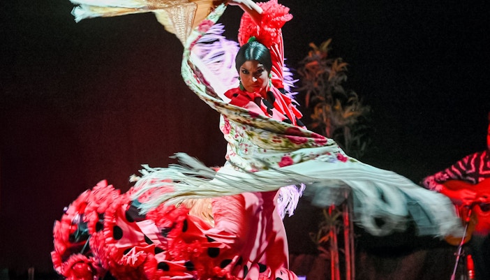Flamenco dancer performing with vibrant dress and shawl in Barcelona.