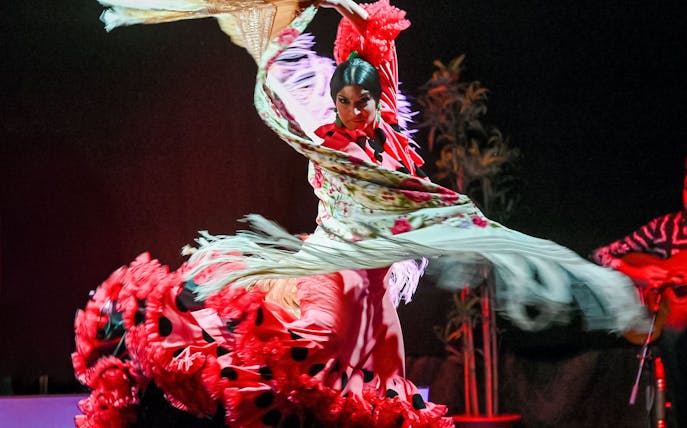 Flamenco dancer performing with vibrant dress and shawl in Barcelona.