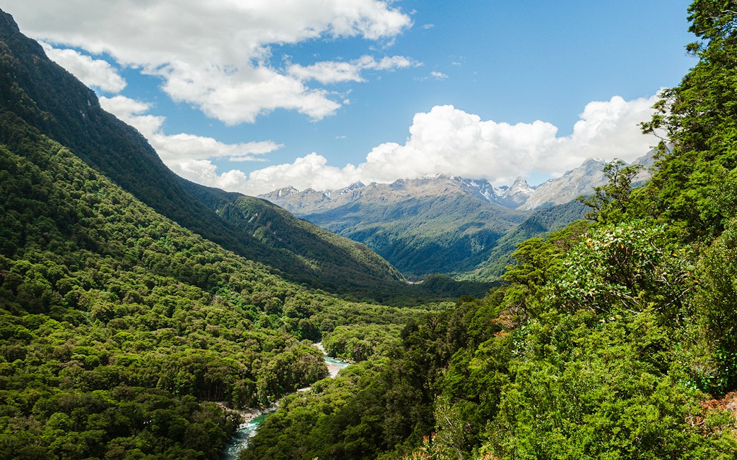 View from Pop's Valley lookout over lush green forest and distant snow-capped mountains.