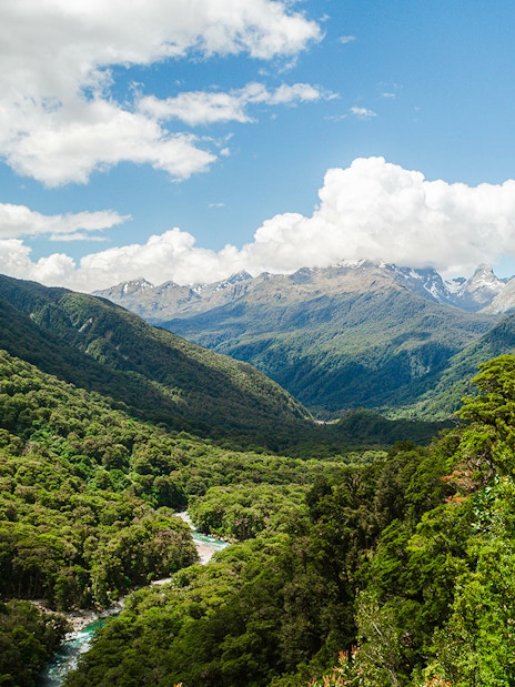 View from Pop's Valley lookout over lush green forest and distant snow-capped mountains.