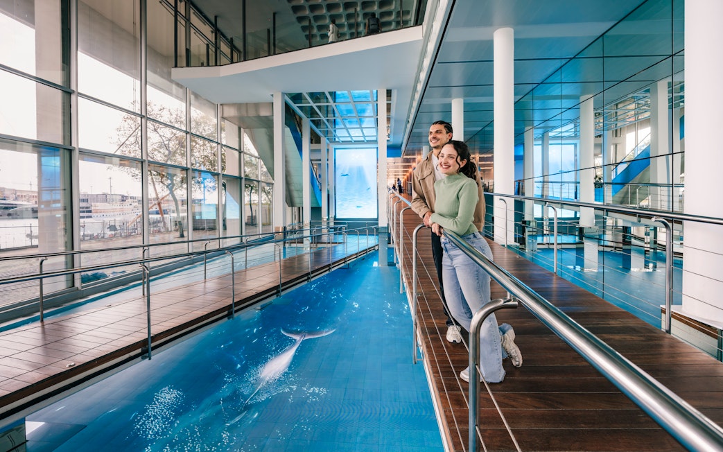Tourists enjoying the view inside the Barcelona Aquarium.