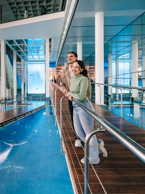 Tourists enjoying the view inside the Barcelona Aquarium.