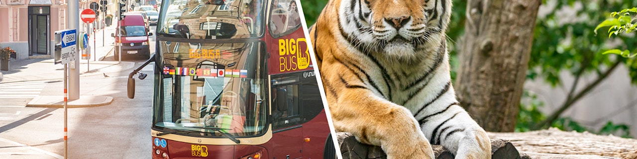 Combo: tour in autobus Hop-on Hop-off a Vienna + Biglietti Salta la Fila per il Tiergarten Schönbrunn