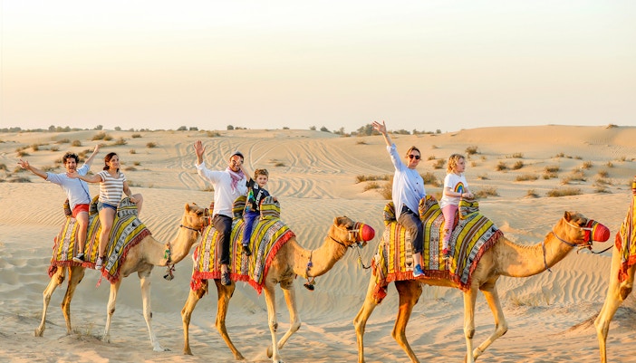 Turisti in sella a un cammello: cosa vedere Dubai