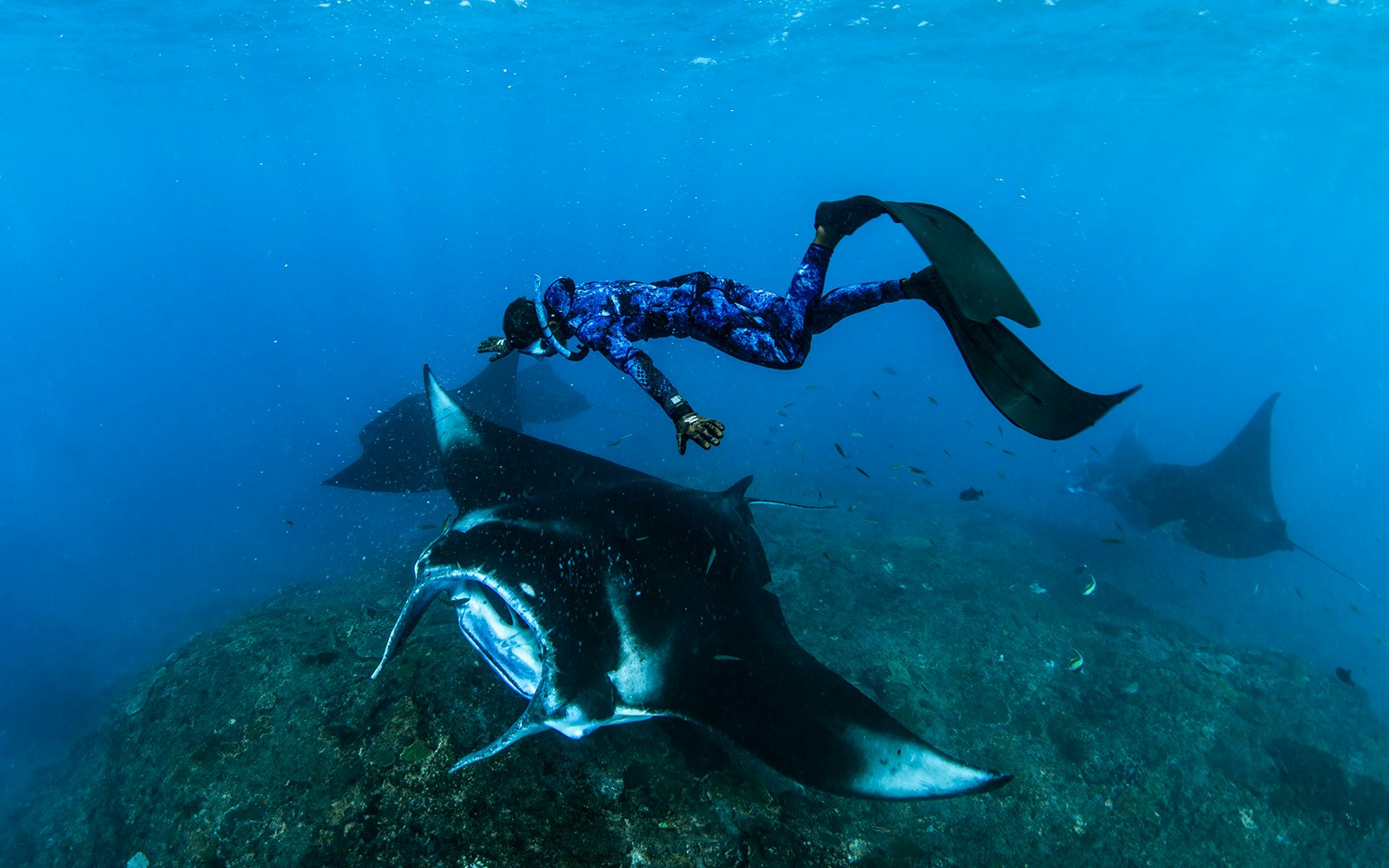 Tourists snorkeling at Manta Point, Nusa Penida, Bali, Indonesia.