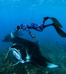 Manta Point