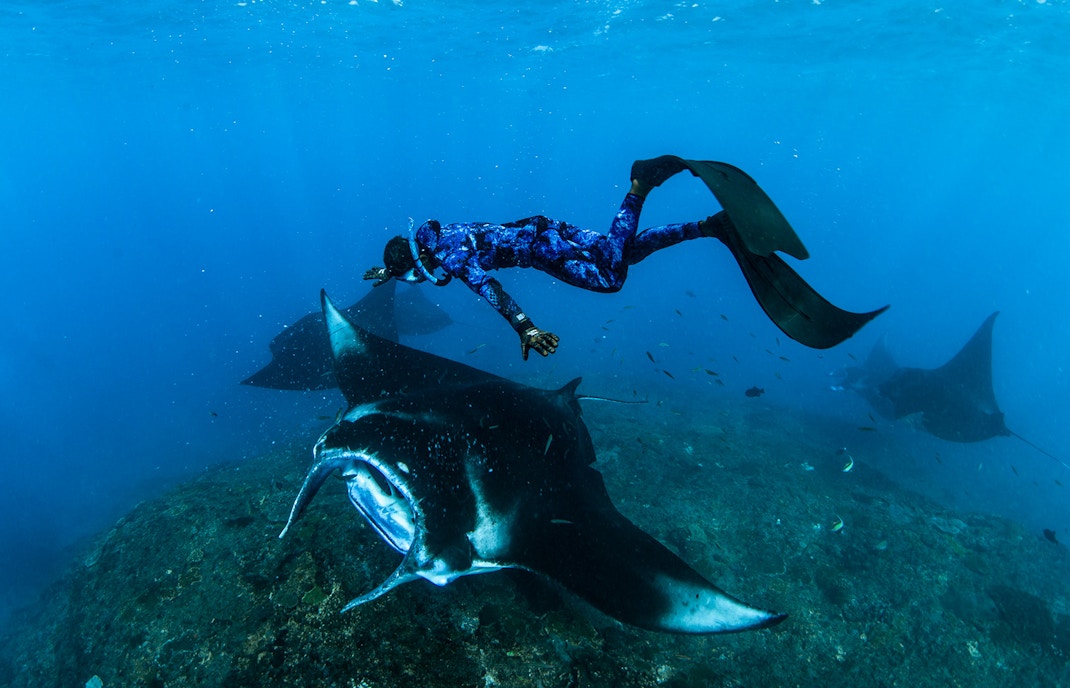 Tourists snorkeling with manta rays at Manta Point, Nusa Penida, Bali, Indonesia.
