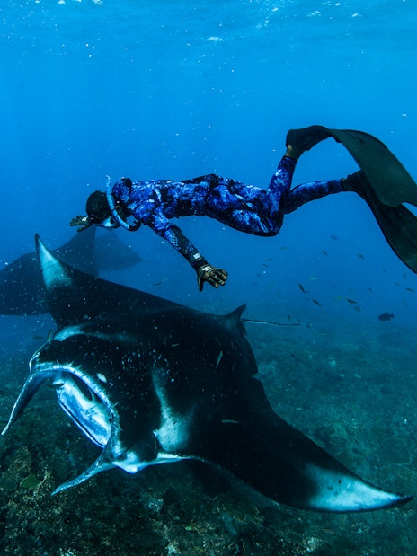 Tourists snorkeling with manta rays at Manta Point, Nusa Penida, Bali, Indonesia.