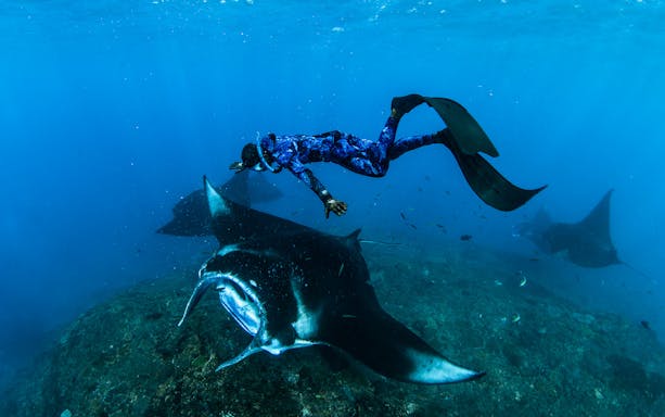 Tourists snorkeling with manta rays at Manta Point, Nusa Penida, Bali, Indonesia.