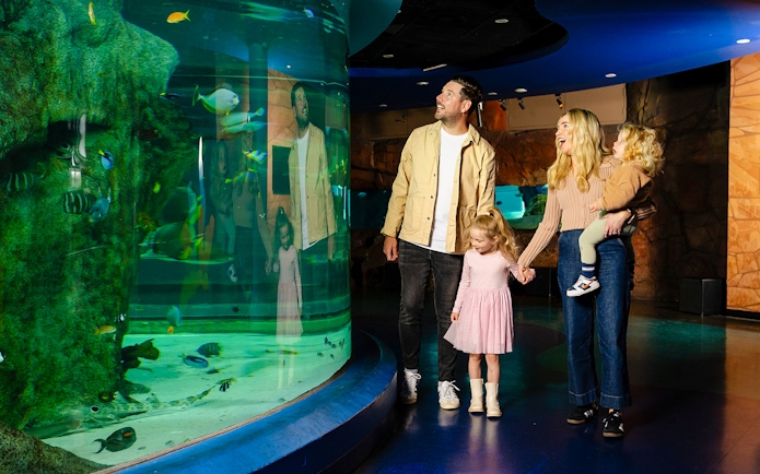 Family exploring SEA LIFE Melbourne aquarium with colorful fish in large tank.