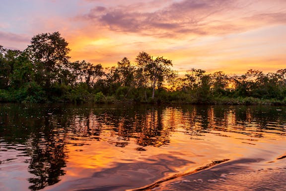 full-day tour of weston wetland with fireflies, safari & sunset cruise-7