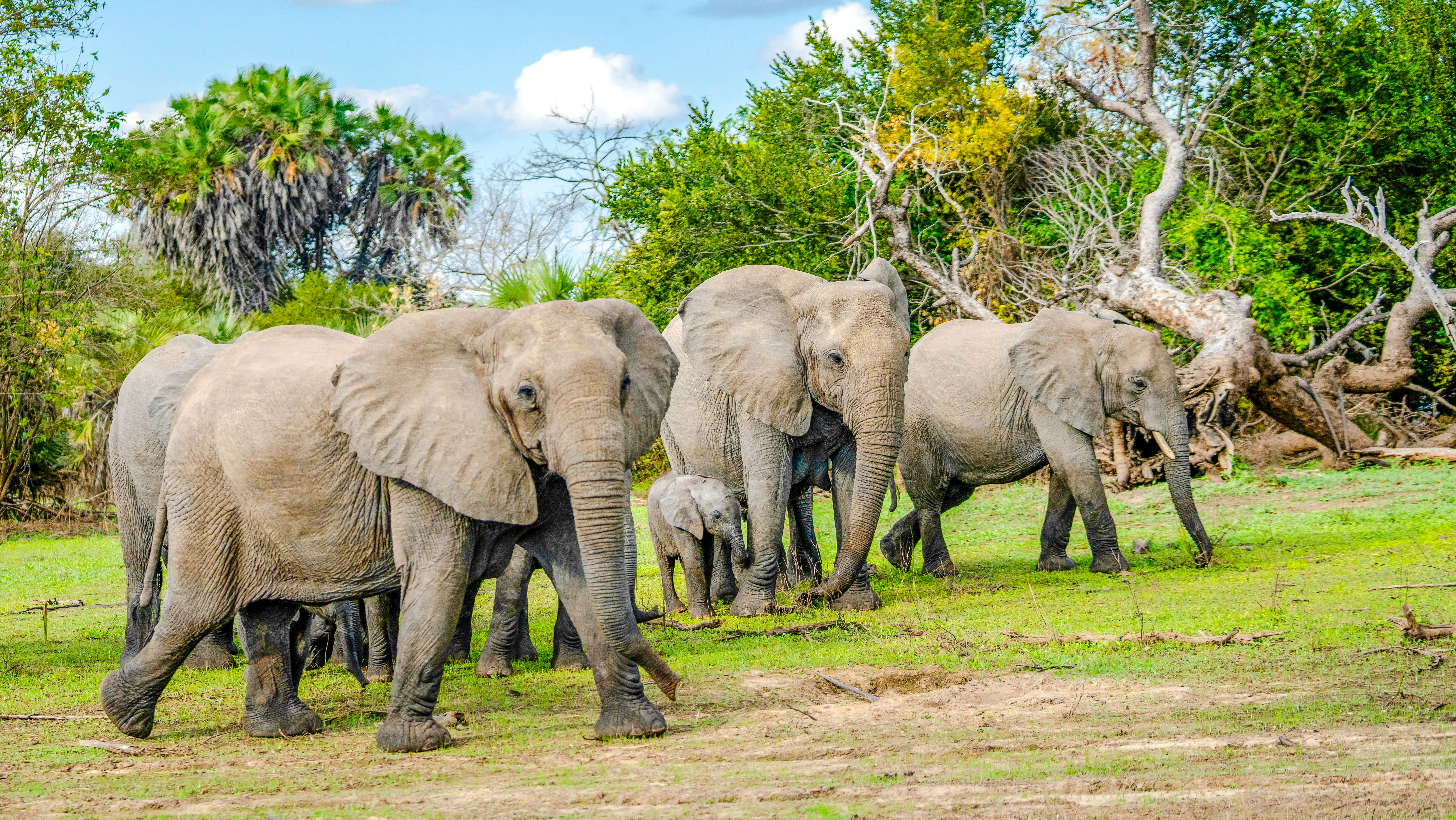 from nairobi: maasai mara 3-day group-joining safari-6