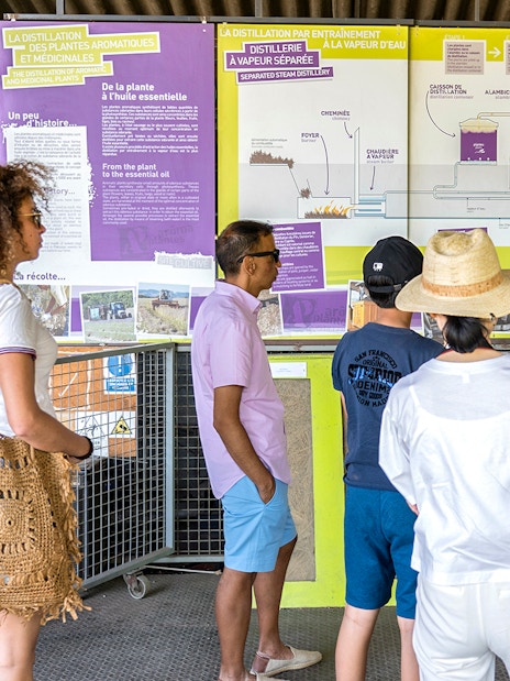 Tour group learning about lavender distillation process in Sault, France.